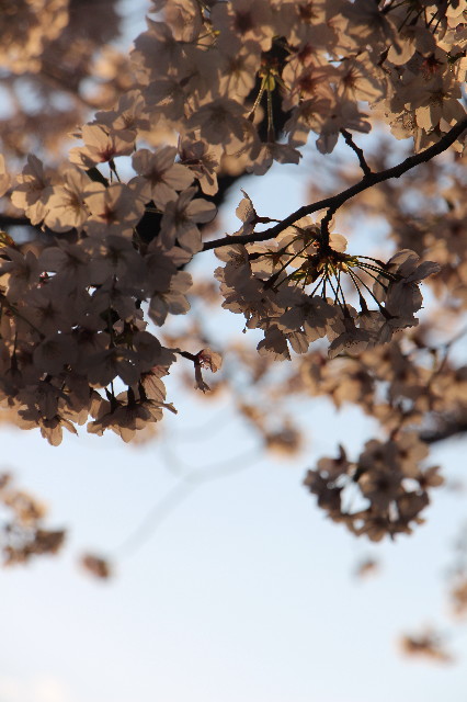 ファイル 7051-3.jpg