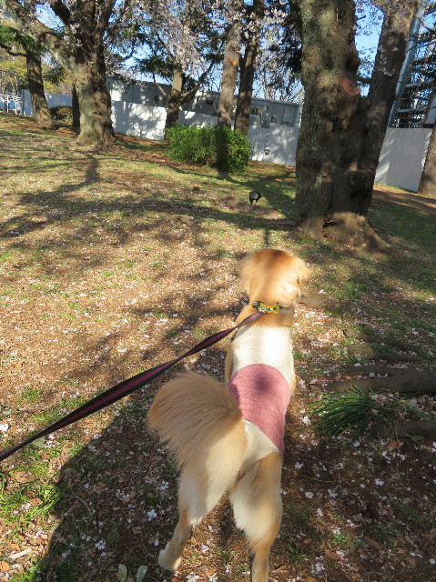 ファイル 7058-2.jpg