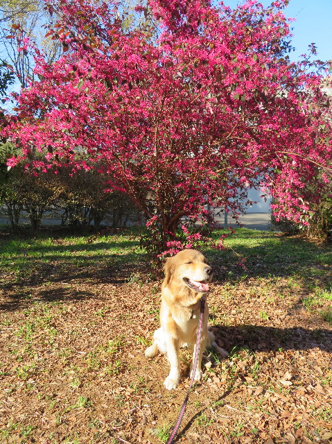 ファイル 7058-4.jpg