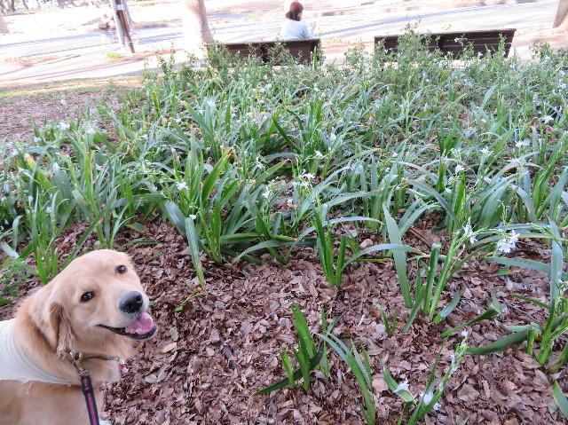 ファイル 7058-5.jpg