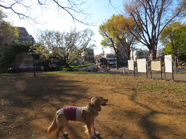 ファイル 7059-1.jpg