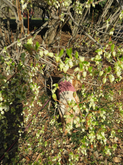 ファイル 7059-5.jpg