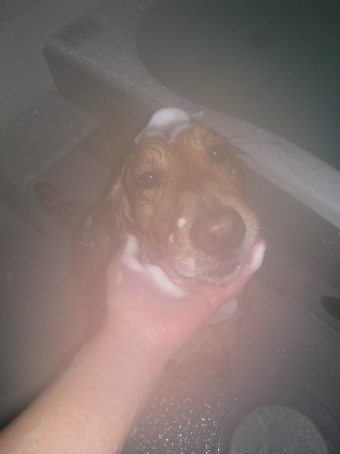 ファイル 706-2.jpg