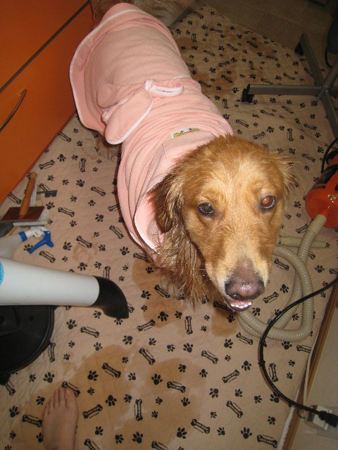 ファイル 706-4.jpg