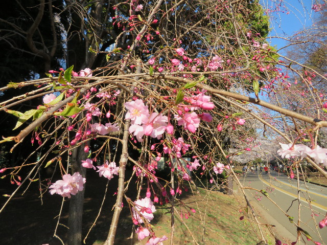 ファイル 7060-2.jpg