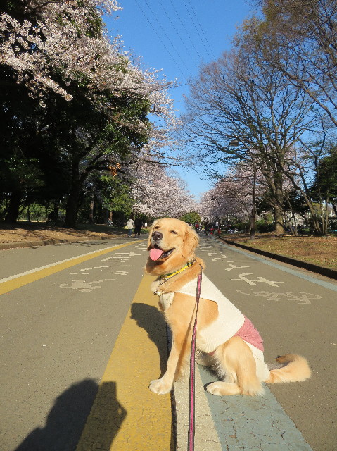 ファイル 7060-4.jpg