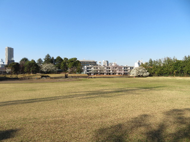 ファイル 7061-1.jpg