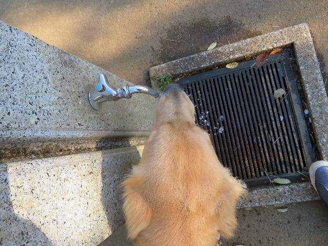 ファイル 7061-3.jpg