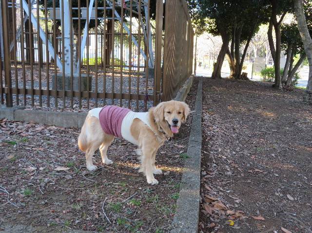 ファイル 7062-3.jpg