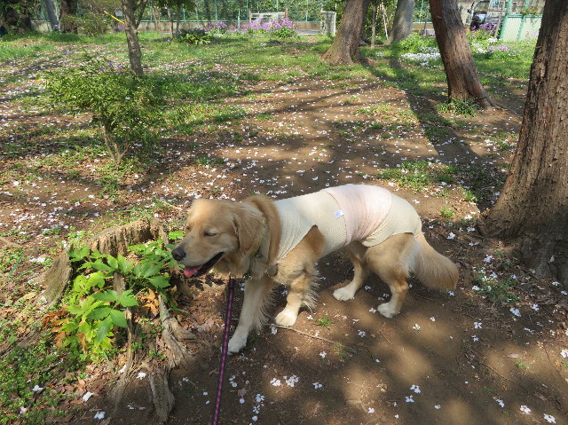 ファイル 7066-3.jpg