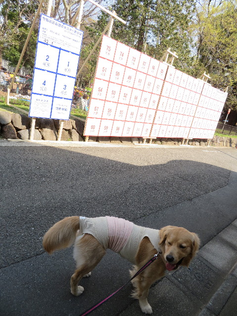 ファイル 7066-5.jpg