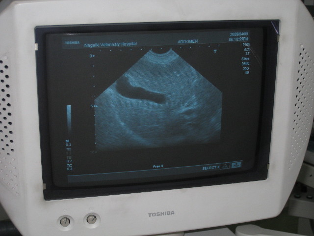 ファイル 707-1.jpg