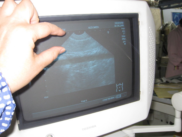 ファイル 707-3.jpg