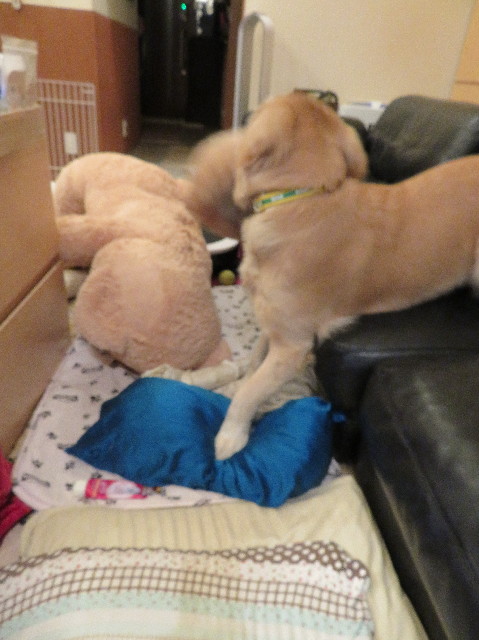 ファイル 7070-1.jpg