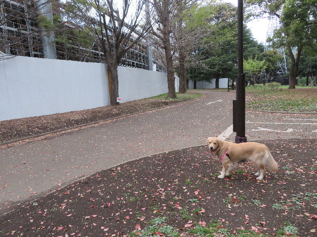 ファイル 7070-5.jpg