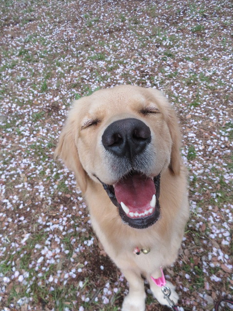 ファイル 7071-1.jpg