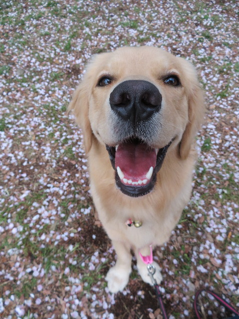 ファイル 7071-2.jpg