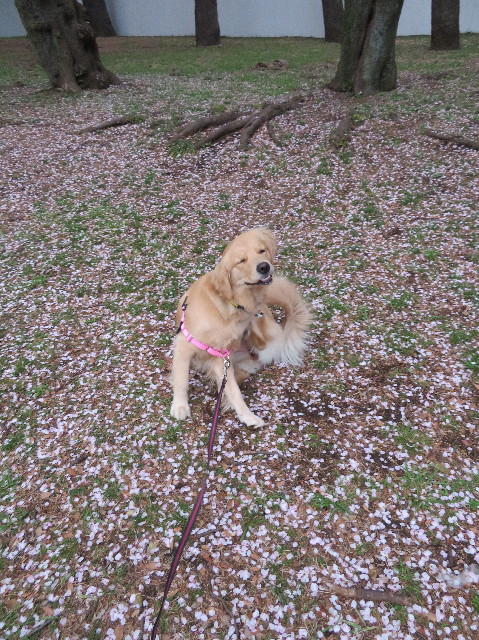 ファイル 7071-4.jpg