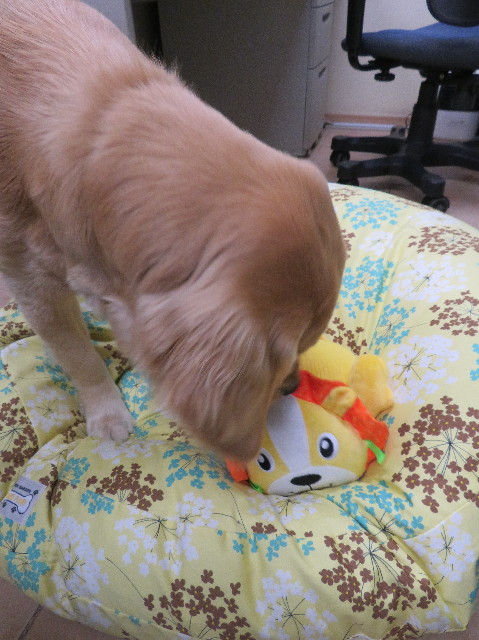 ファイル 7072-1.jpg