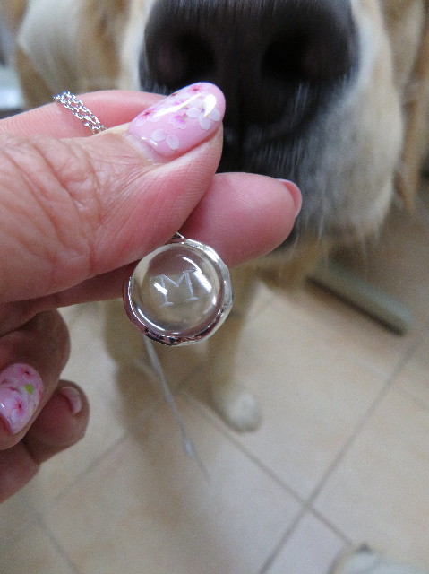 ファイル 7072-2.jpg