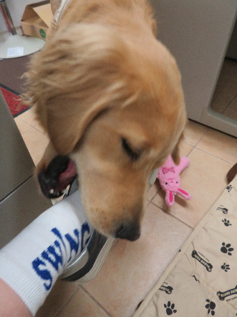 ファイル 7072-3.jpg