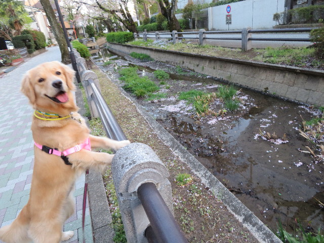 ファイル 7073-3.jpg