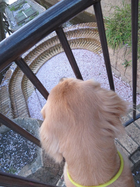 ファイル 7073-4.jpg