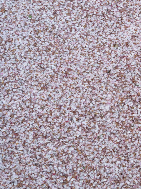 ファイル 7073-5.jpg