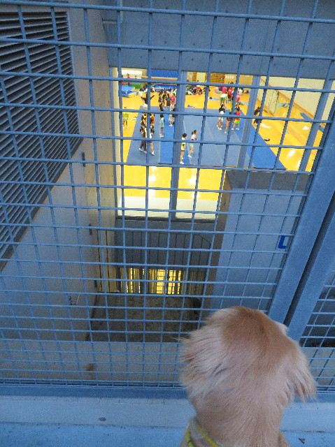 ファイル 7074-3.jpg