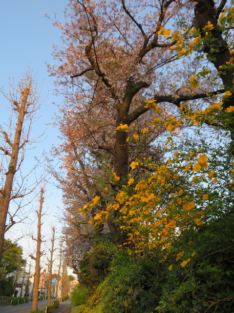 ファイル 7075-3.jpg