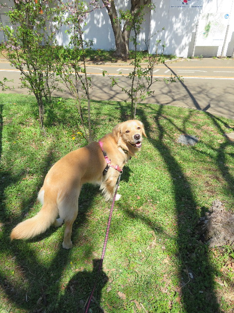 ファイル 7077-3.jpg