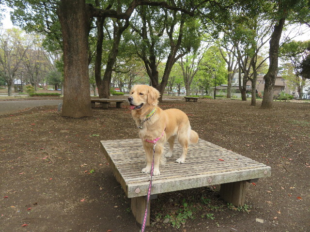 ファイル 7078-3.jpg