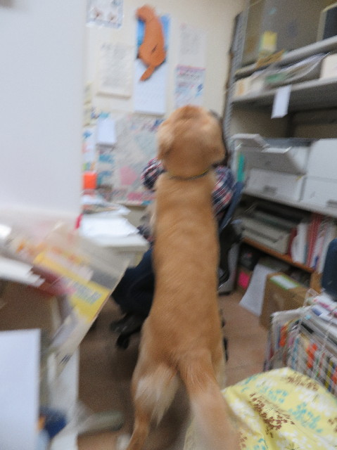 ファイル 7078-5.jpg