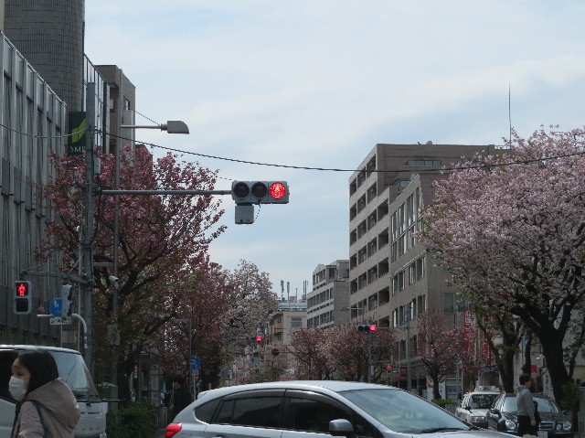 ファイル 7079-1.jpg