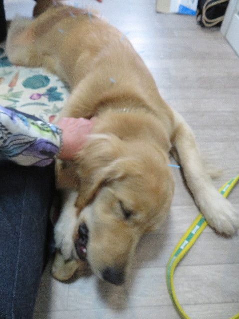 ファイル 7079-4.jpg