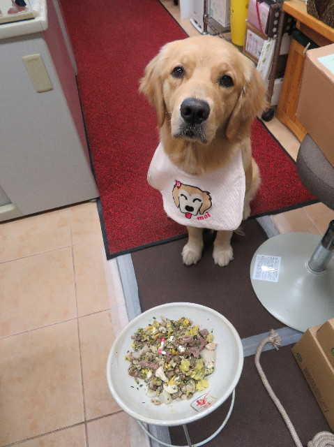 ファイル 7079-5.jpg