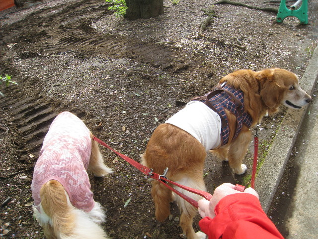 ファイル 708-1.jpg