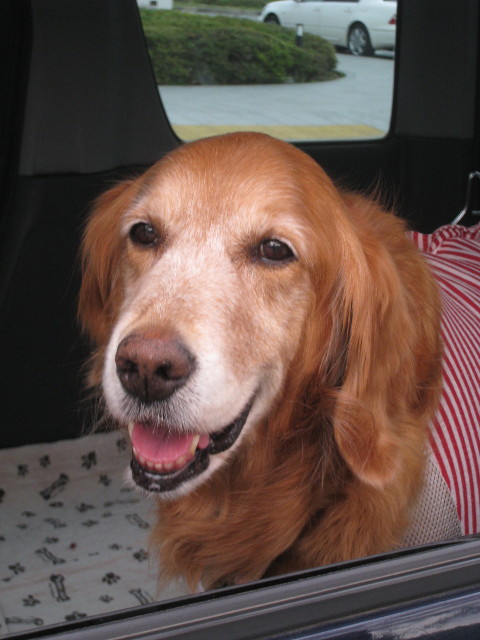 ファイル 708-4.jpg