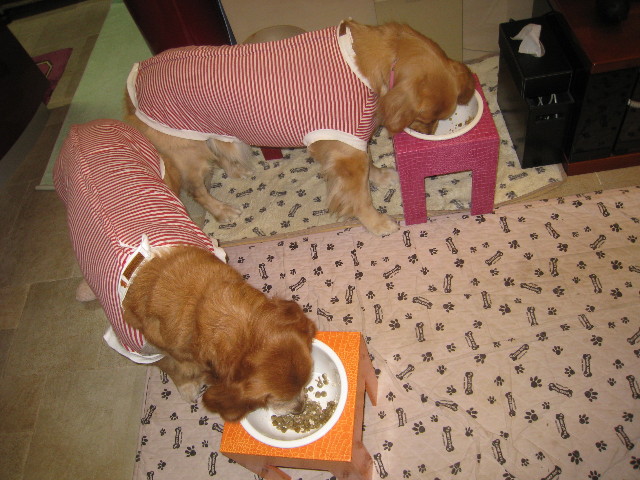 ファイル 708-5.jpg