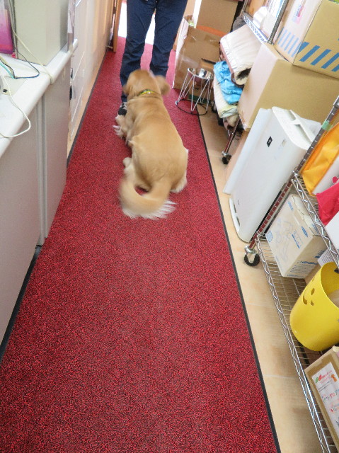 ファイル 7080-2.jpg