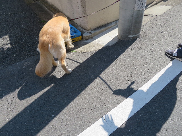 ファイル 7080-3.jpg