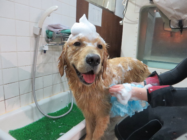 ファイル 7081-5.jpg