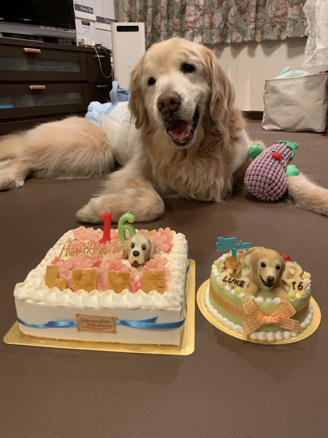 ファイル 7082-1.jpg