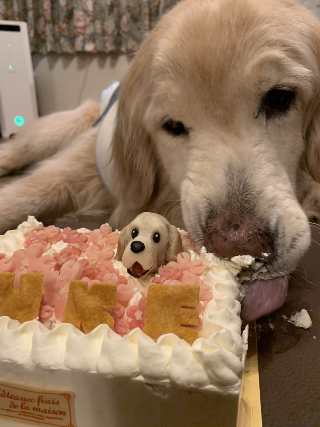 ファイル 7082-3.jpg