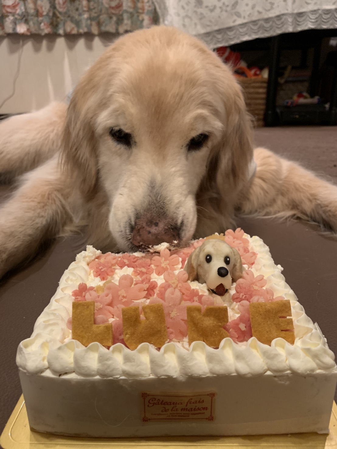 ファイル 7082-4.jpg