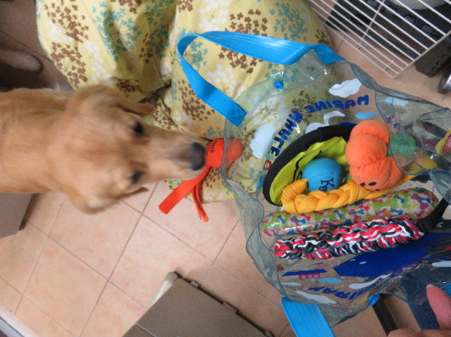 ファイル 7083-3.jpg