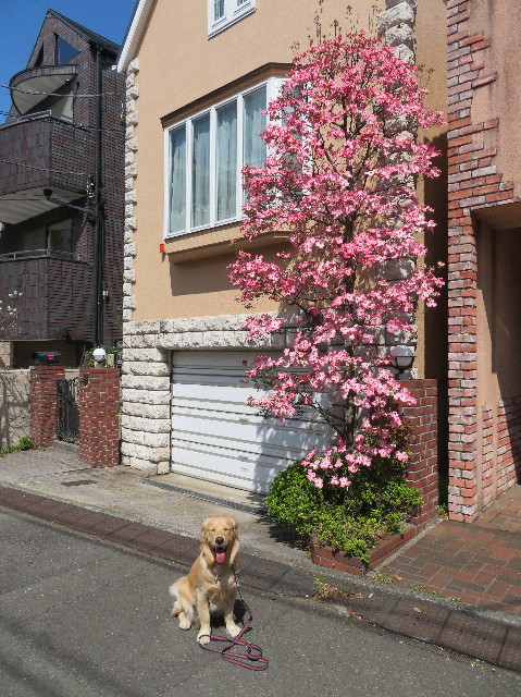 ファイル 7085-2.jpg