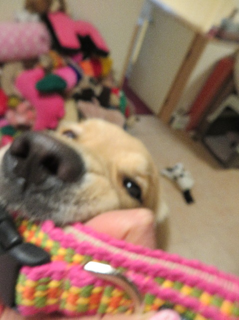 ファイル 7085-4.jpg