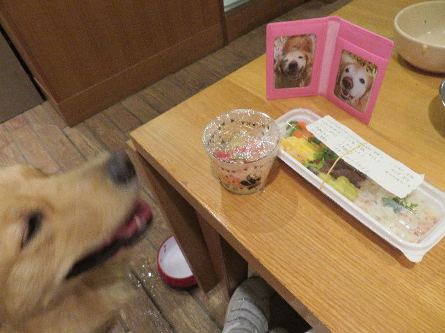 ファイル 7087-5.jpg