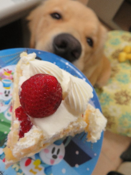 ファイル 7088-4.jpg